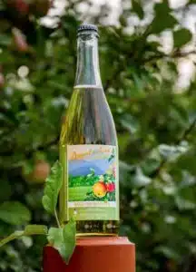 Bald Top Mountain Hard Cider